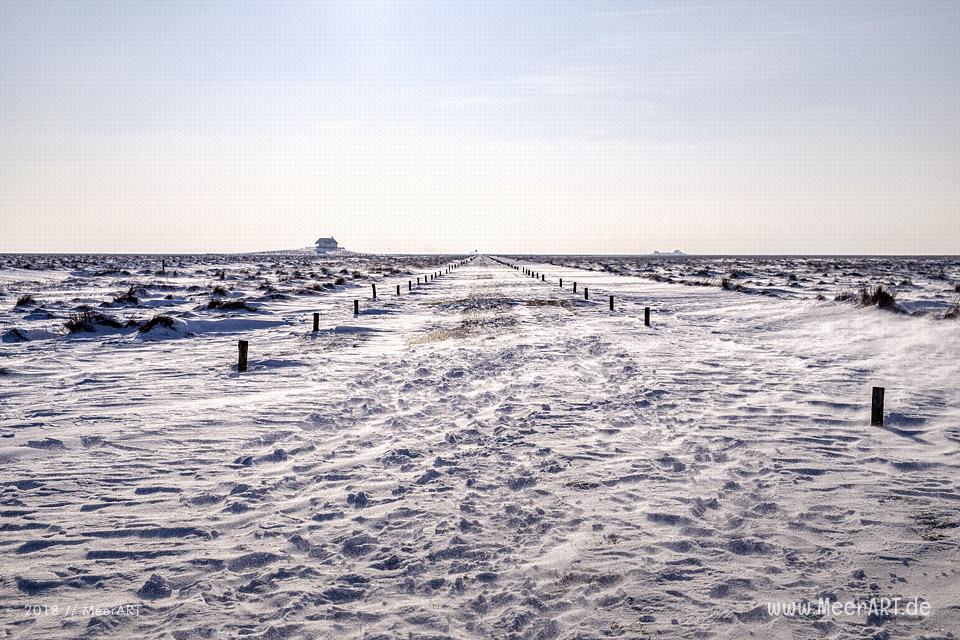 Winterlandschaft auf der Hamburger Hallig // Foto: Ralph Kerpa