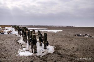 Wintereinbruch im Naturschutzgebiet Rickelsbüller Koog // Foto: Ralph Kerpa