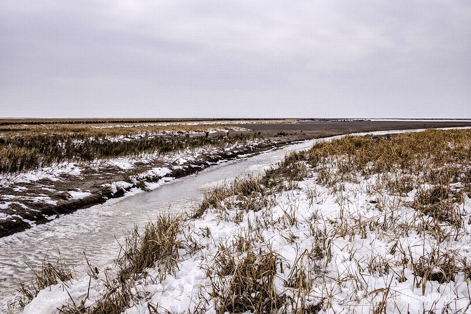 Wintereinbruch im Naturschutzgebiet Rickelsbüller Koog // Foto: Ralph Kerpa