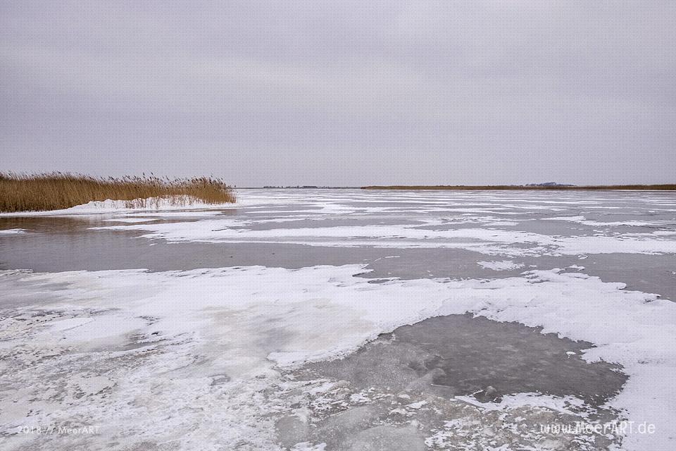 Wintereinbruch im Naturschutzgebiet Rickelsbüller Koog // Foto: Ralph Kerpa