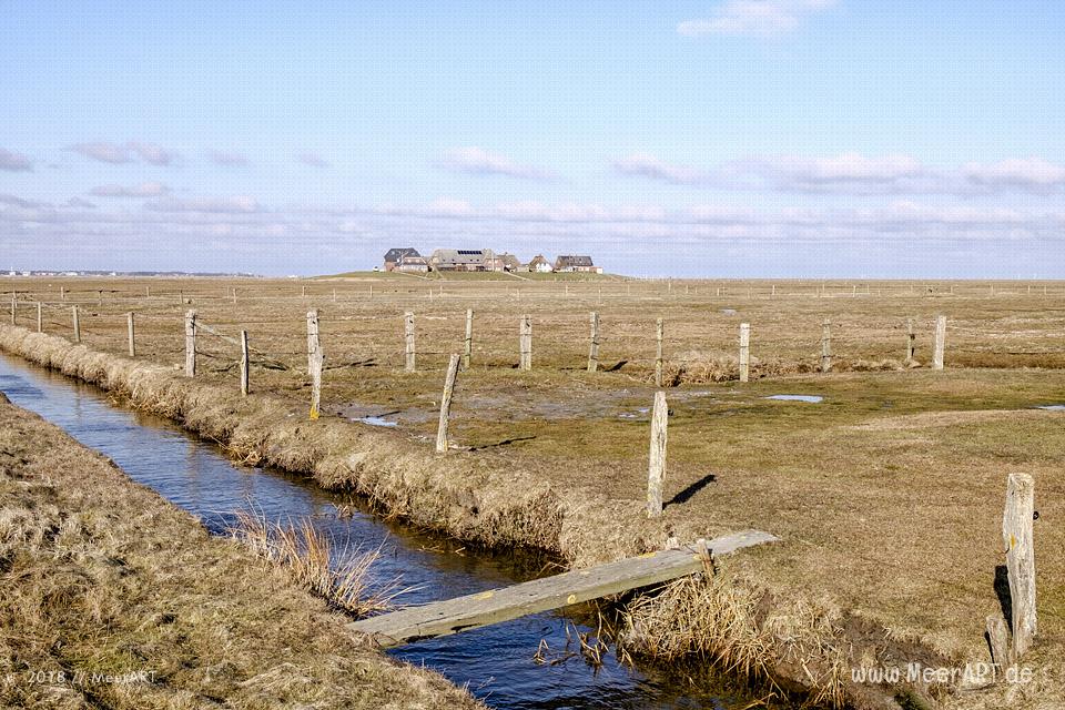 Die Hallig Langeneß im nordfriesischen Wattenmeer // Foto: MeerART / Ralph Kerpa
