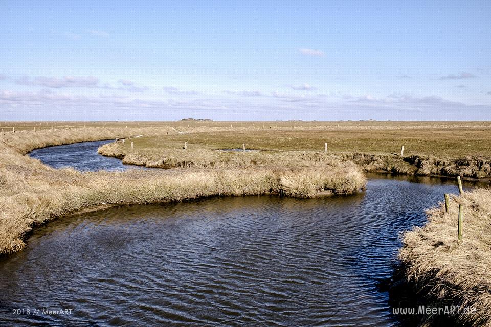 Die Hallig Langeneß im nordfriesischen Wattenmeer // Foto: MeerART / Ralph Kerpa