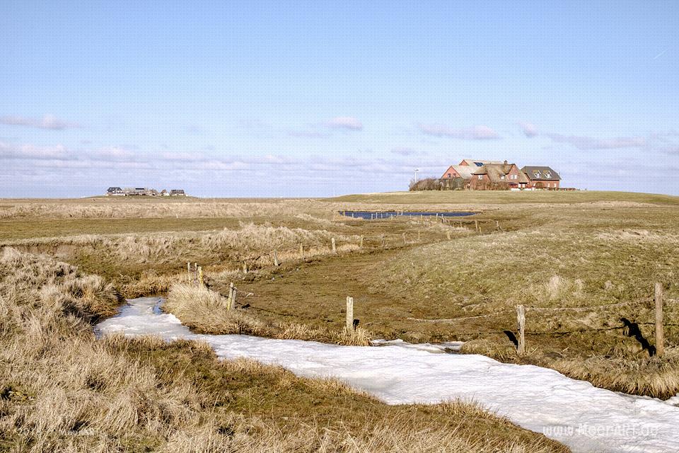 Die Hallig Langeneß im nordfriesischen Wattenmeer // Foto: MeerART / Ralph Kerpa