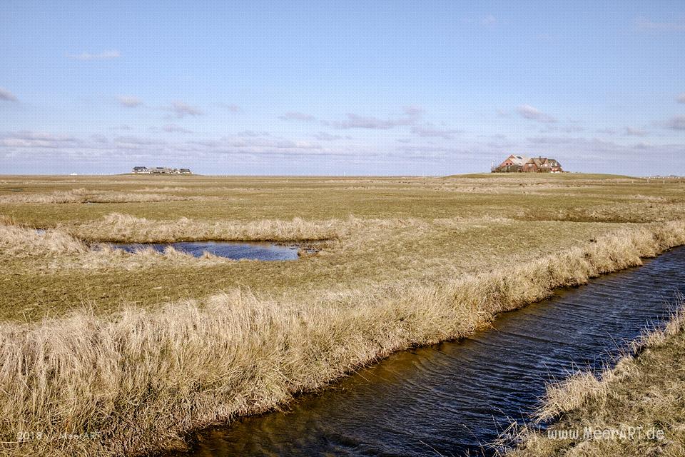 Die Hallig Langeneß im nordfriesischen Wattenmeer // Foto: MeerART / Ralph Kerpa