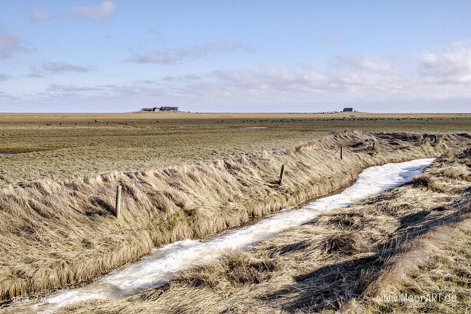 Die Hallig Langeneß im nordfriesischen Wattenmeer // Foto: MeerART / Ralph Kerpa