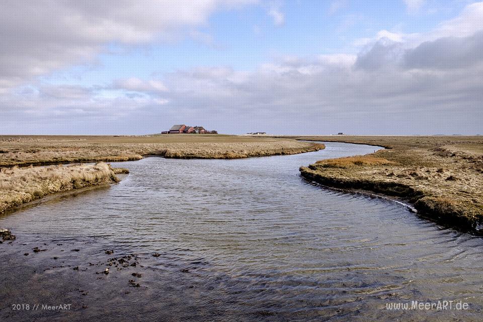 Die Hallig Langeneß im nordfriesischen Wattenmeer // Foto: MeerART / Ralph Kerpa