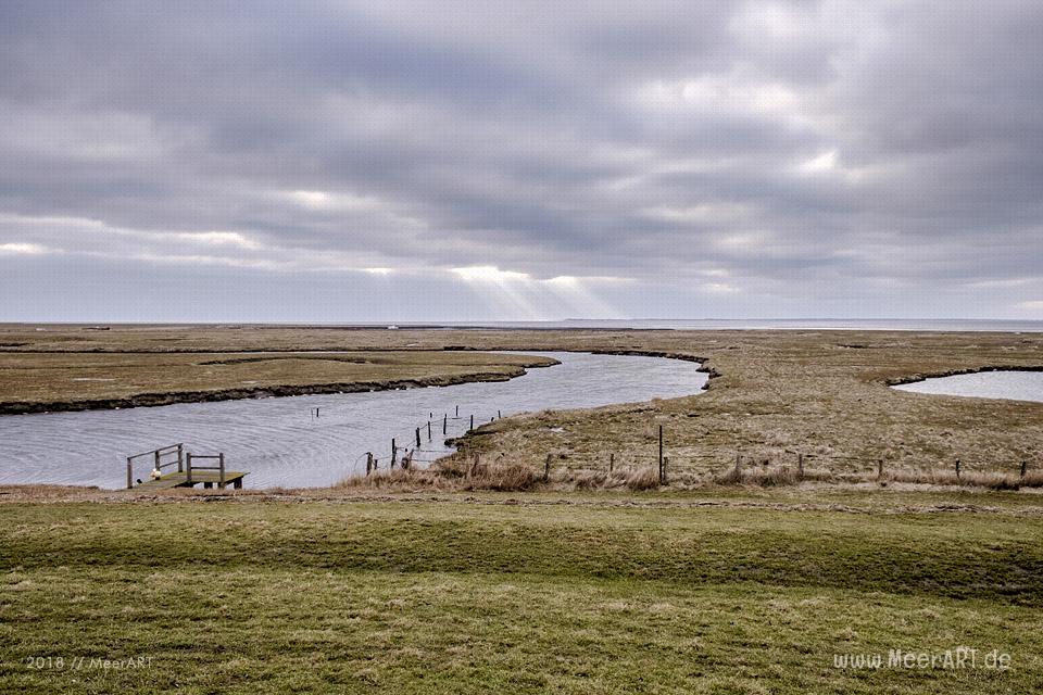 Die Hallig Langeneß im nordfriesischen Wattenmeer // Foto: MeerART / Ralph Kerpa