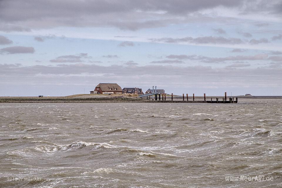 Die Hallig Langeneß im nordfriesischen Wattenmeer // Foto: MeerART / Ralph Kerpa