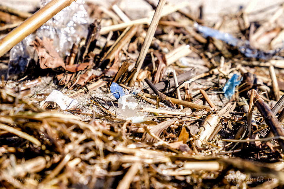 Angespülte Plastikpartikel an den Uferbereichen der Schlei // Foto: MeerART