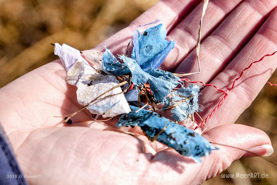 Angespülte Plastikpartikel an den Uferbereichen der Schlei // Foto: MeerART