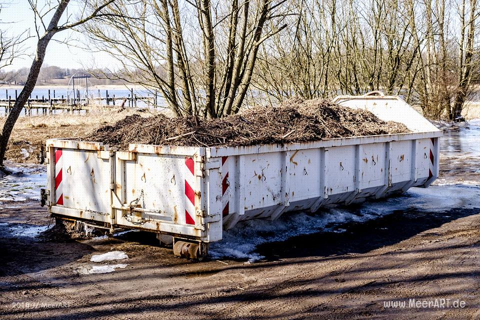 Angespülte Plastikpartikel an den Uferbereichen der Schlei // Foto: MeerART