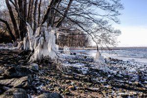 Sonnige Winterimpressionen von der Schlei // Foto: MeerART / Ralph Kerpa