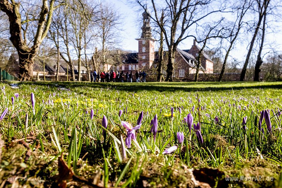 Die Hafenstadt Husum kurz vor dem alljährlichen Krokusblütenfest // Foto: MeerART / Ralph Kerpa