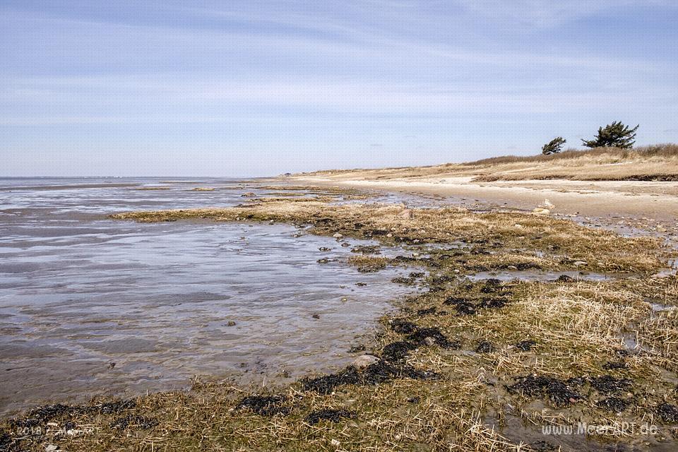 Am Nordseestrand entlang von Hjerpsted zum Emmerlev Klev // Foto: MeerART / Ralph Kerpa