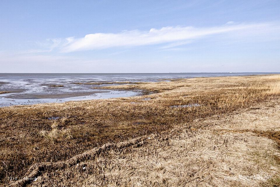 Am Nordseestrand entlang von Hjerpsted zum Emmerlev Klev // Foto: MeerART / Ralph Kerpa