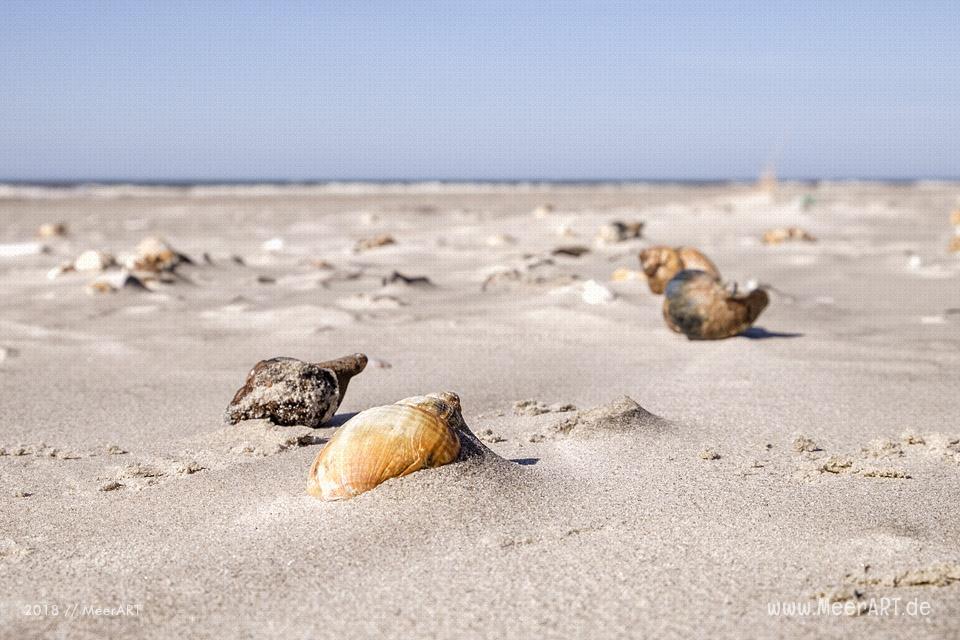 Ein sonniger Frühlingstag in Vejers Strand an der dänischen Nordseeküste // Foto: MeerART