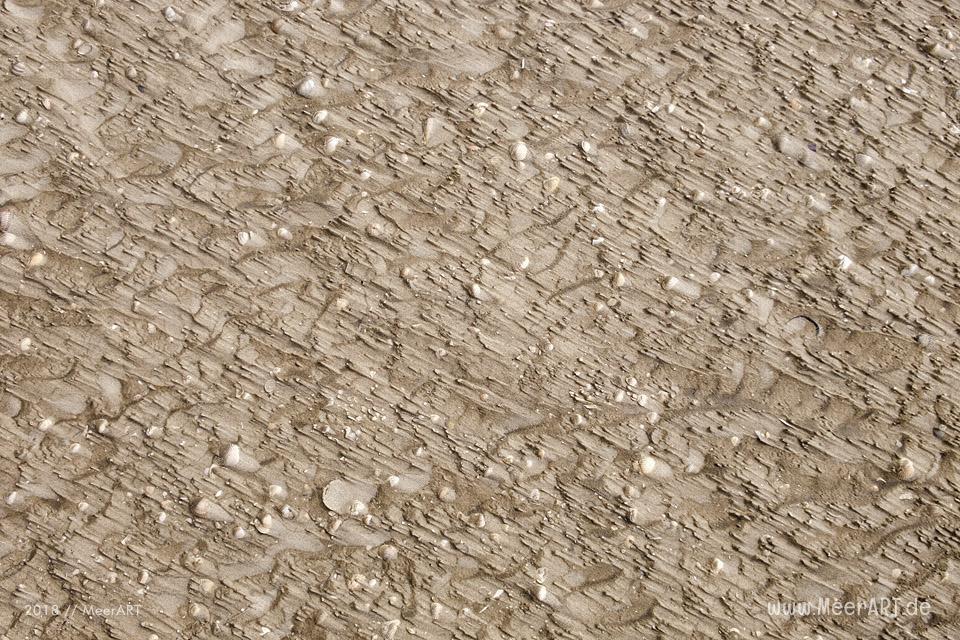 Wenn die Westerhever Sandbank ruft // Foto: Ralph Kerpa