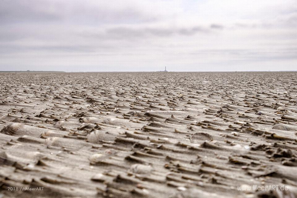 Wenn die Westerhever Sandbank ruft // Foto: Ralph Kerpa