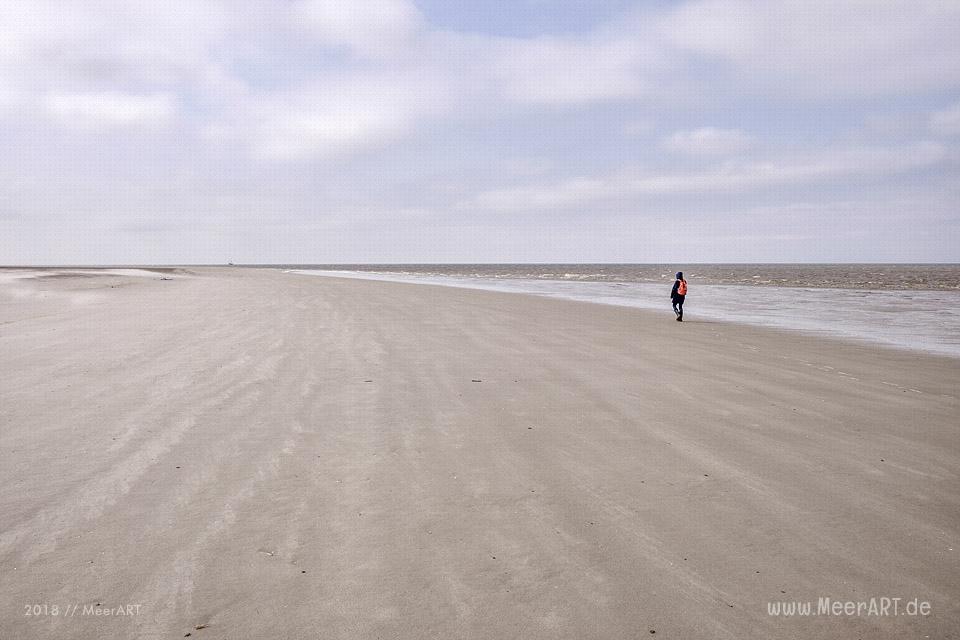 Wenn die Westerhever Sandbank ruft // Foto: Ralph Kerpa