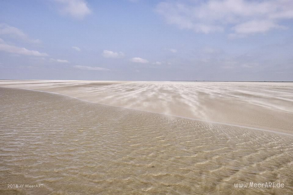 Wenn die Westerhever Sandbank ruft // Foto: Ralph Kerpa