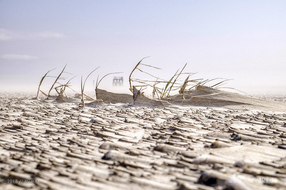 Wenn die Westerhever Sandbank ruft // Foto: Ralph Kerpa