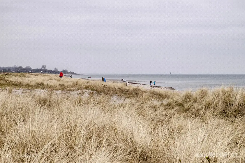 Strandreinigung „Flens-StrandGut 2018“ an der Ostsee in Hasselberg am 15.04.2018 // Foto: MeerART