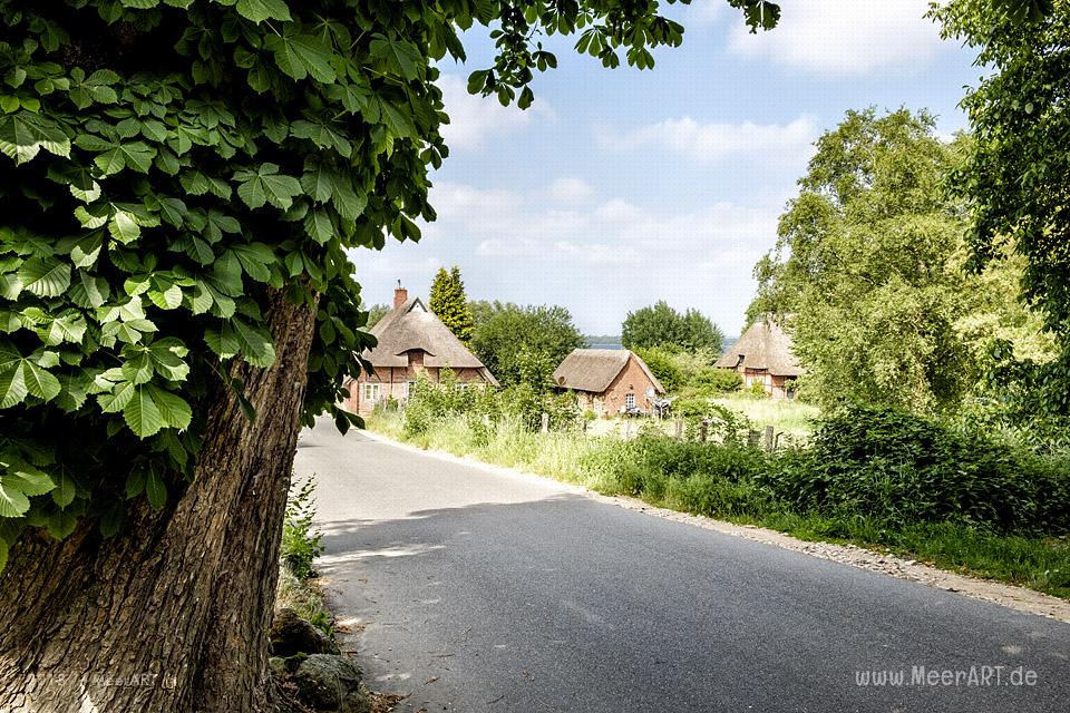 Idylle am Selenter See in Lammershagen und Bellin // Foto: MeerART