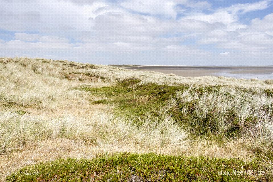 Der Lister Ellenbogen und seine atemberaubenden Landschaft am nördlichsten Zipfel Deutschlands // Foto: MeerART / Ralph Kerpa