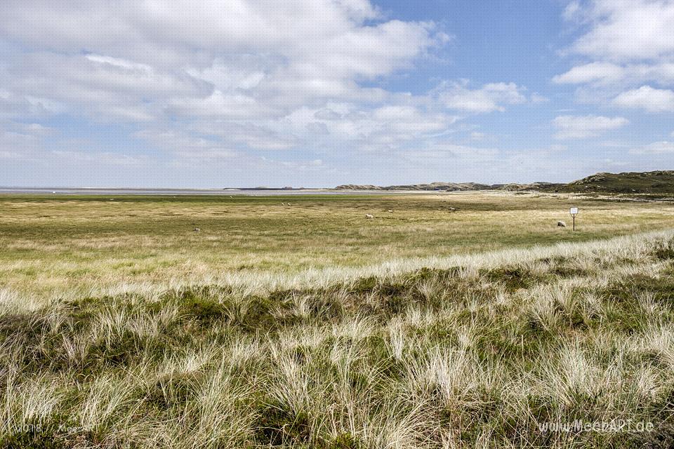 Der Lister Ellenbogen und seine atemberaubenden Landschaft am nördlichsten Zipfel Deutschlands // Foto: MeerART / Ralph Kerpa