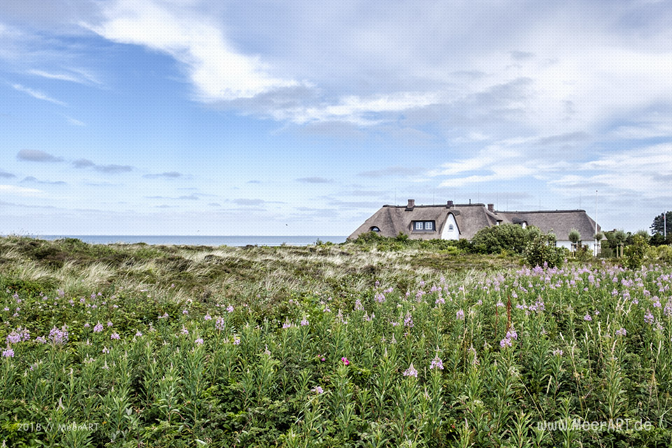 Reetdachhaus in Kampen auf Sylt // Foto: MeerART