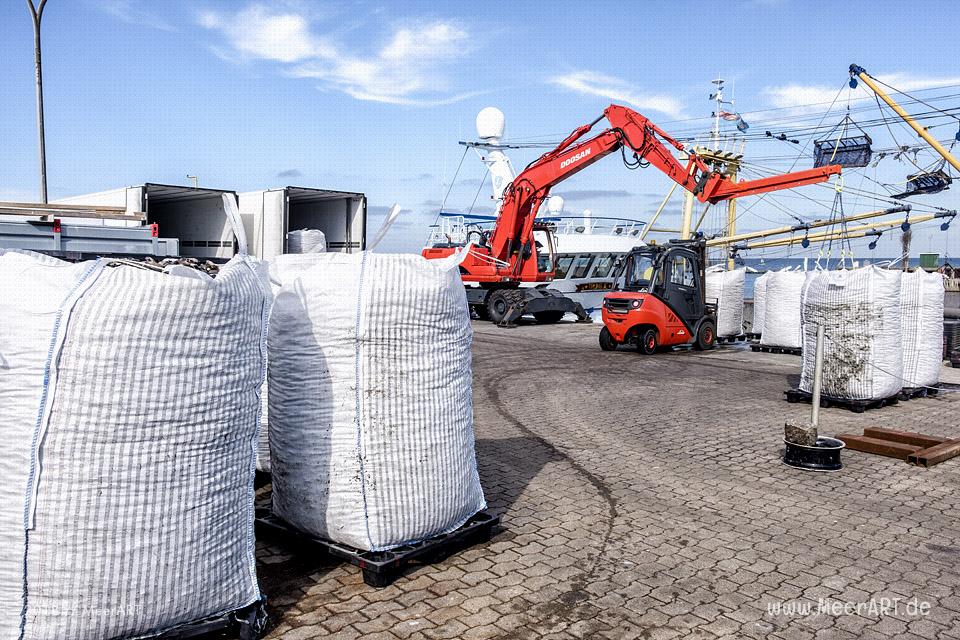 Muschelverladung im Hafen von Hörnum // Foto: MeerART