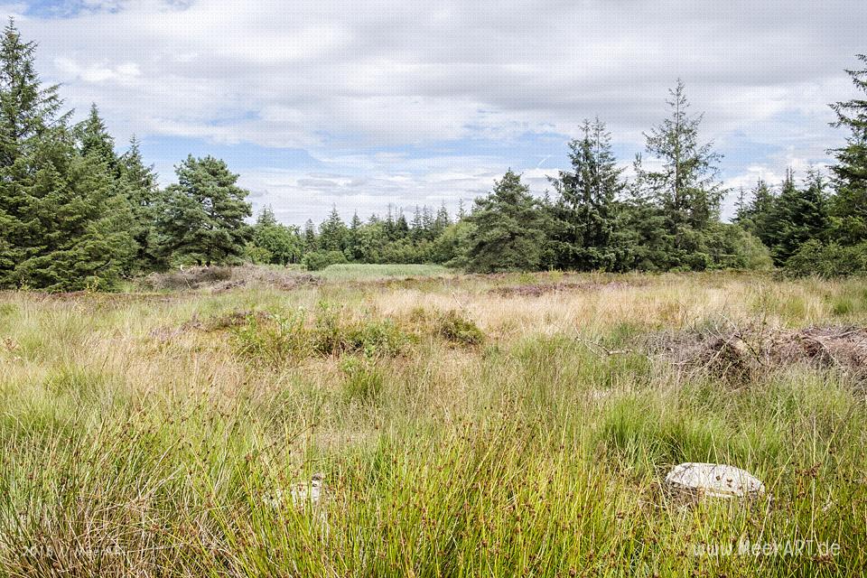 Das idyllische Naturschutzgebiet Langenhorner Heide in Nordfriesland // Foto: MeerART / Ralph Kerpa