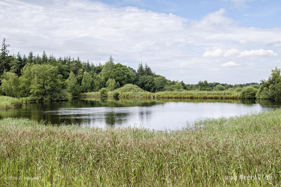 Das idyllische Naturschutzgebiet Langenhorner Heide in Nordfriesland // Foto: MeerART / Ralph Kerpa
