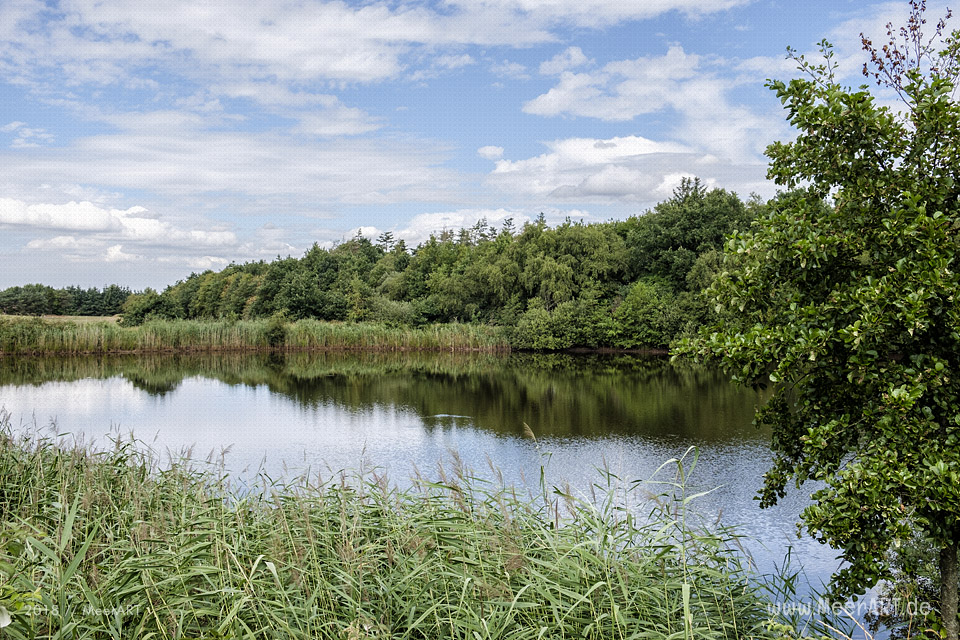 Das idyllische Naturschutzgebiet Langenhorner Heide in Nordfriesland // Foto: MeerART / Ralph Kerpa