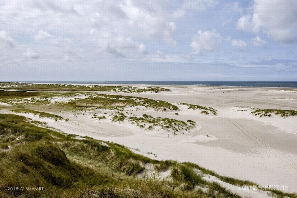 Unser Tag am Kniep auf Amrum // Foto: MeerART / Ralph Kerpa