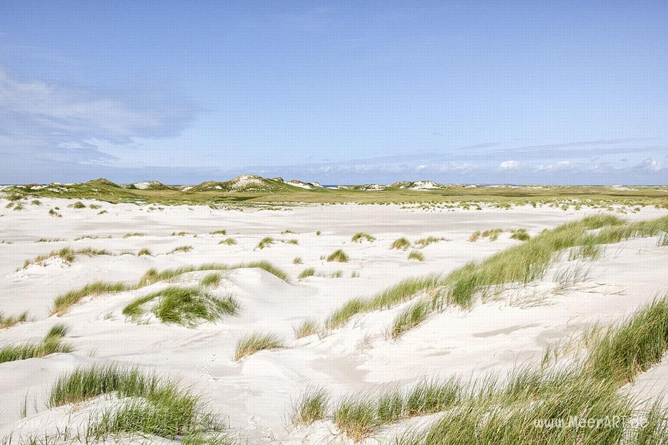 Unser Tag am Kniep auf Amrum // FUnser Tag am Kniep auf Amrum // Foto: MeerART / Ralph Kerpaoto: MeerART / Ralph Kerpa