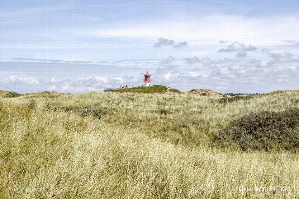 Unser Tag am Kniep auf Amrum // Foto: MeerART / Ralph Kerpa
