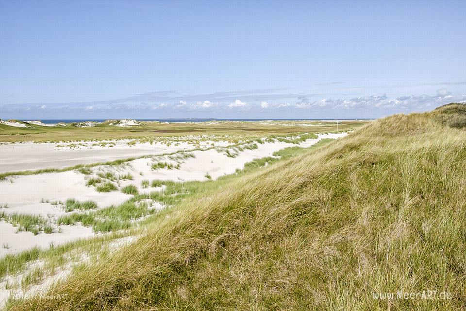 Unser Tag am Kniep auf Amrum // Foto: MeerART / Ralph Kerpa