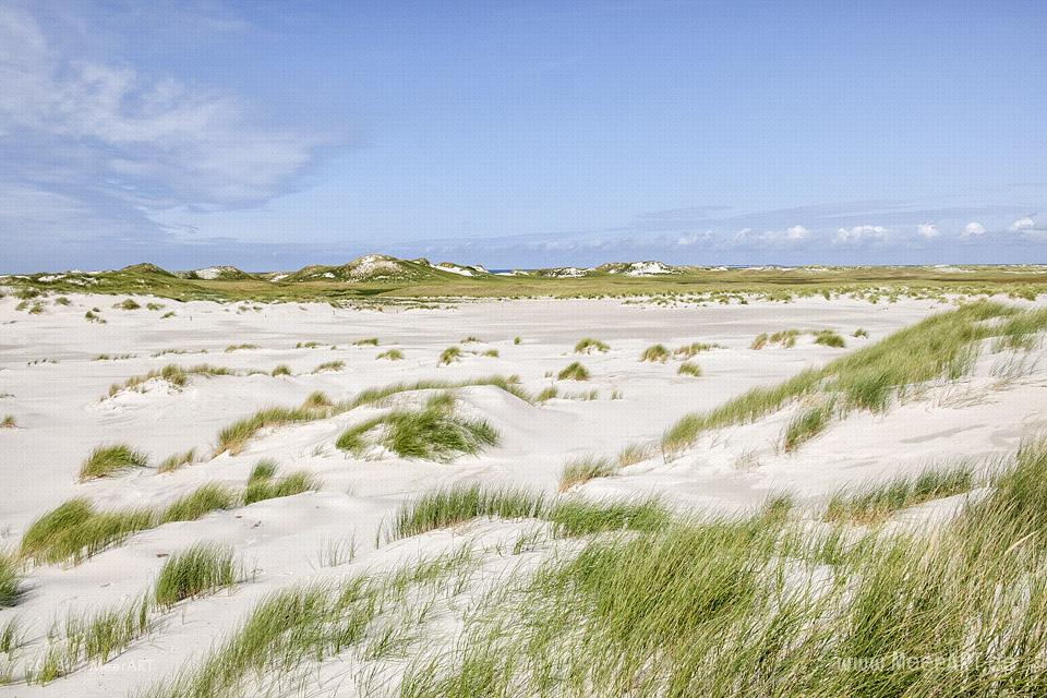 Unser Tag am Kniep auf Amrum // Foto: MeerART / Ralph Kerpa
