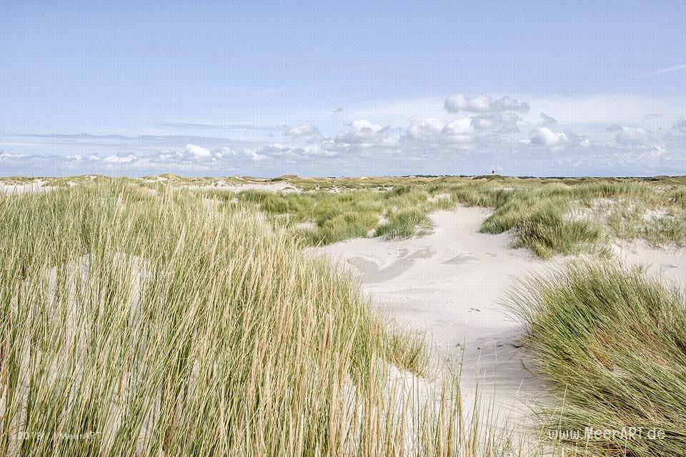 Unser Tag am Kniep auf Amrum // Foto: MeerART / Ralph Kerpa