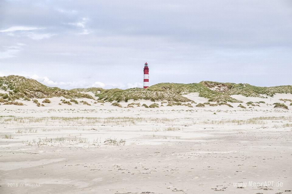 Unser Tag am Kniep auf Amrum // Foto: MeerART / Ralph Kerpa
