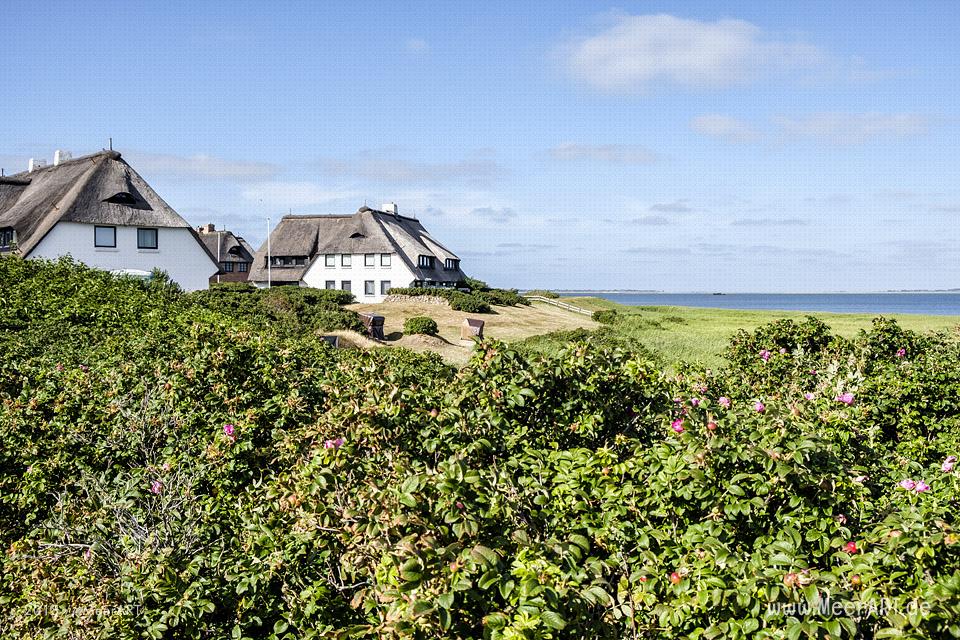 Kleine Stippvisite in Rantum auf Sylt // Foto: MeerART