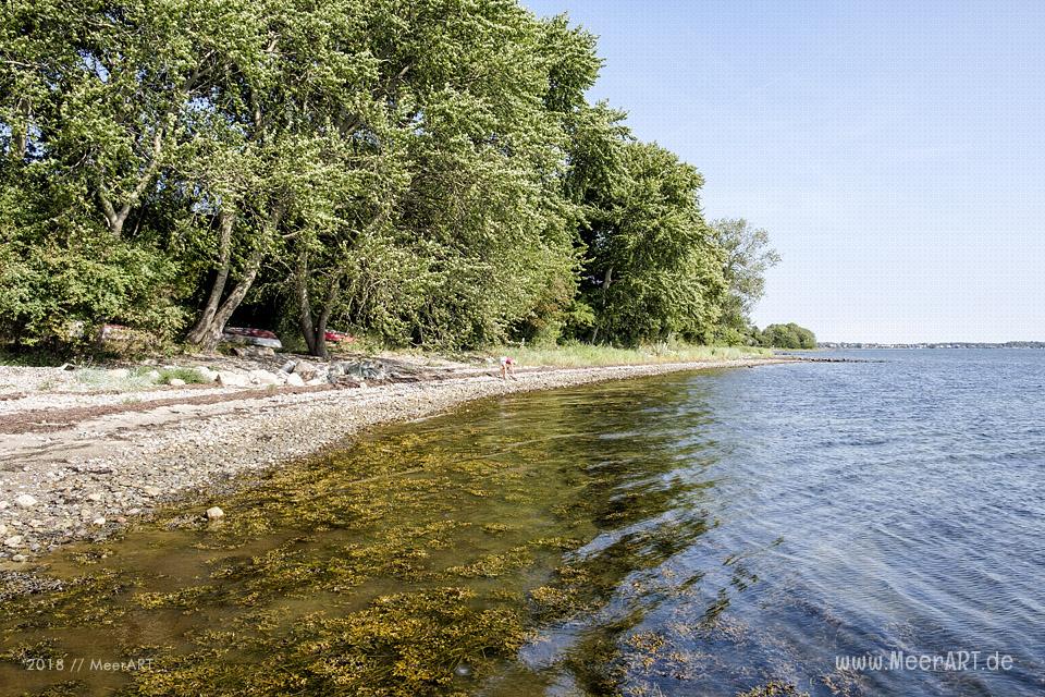 Ausflug entlang der Flensburger Förde vom dänischen Sønderhav bis Lysabildkov // Foto: MeerART