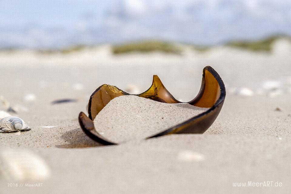 Reportage zum Thema „Wie wird Glas richtig recycelt?“ // Foto: MeerART / Ralph Kerpa