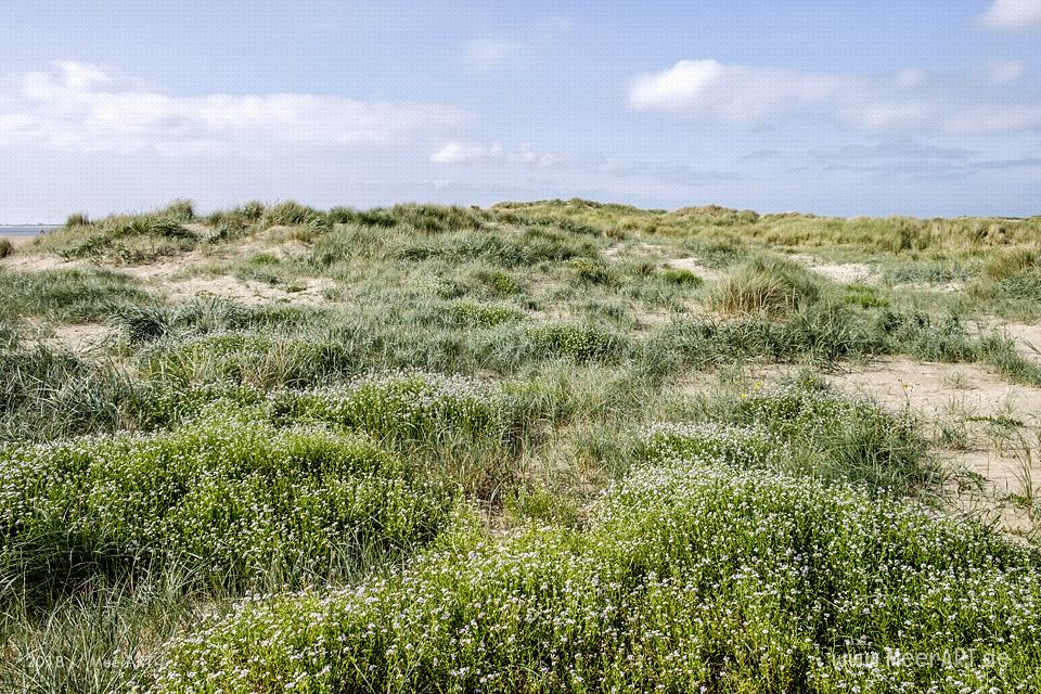 Ein schöner Spätsommertag auf der dänischen Wattenmeerinsel Rømø // Foto: MeerART / Ralph Kerpa