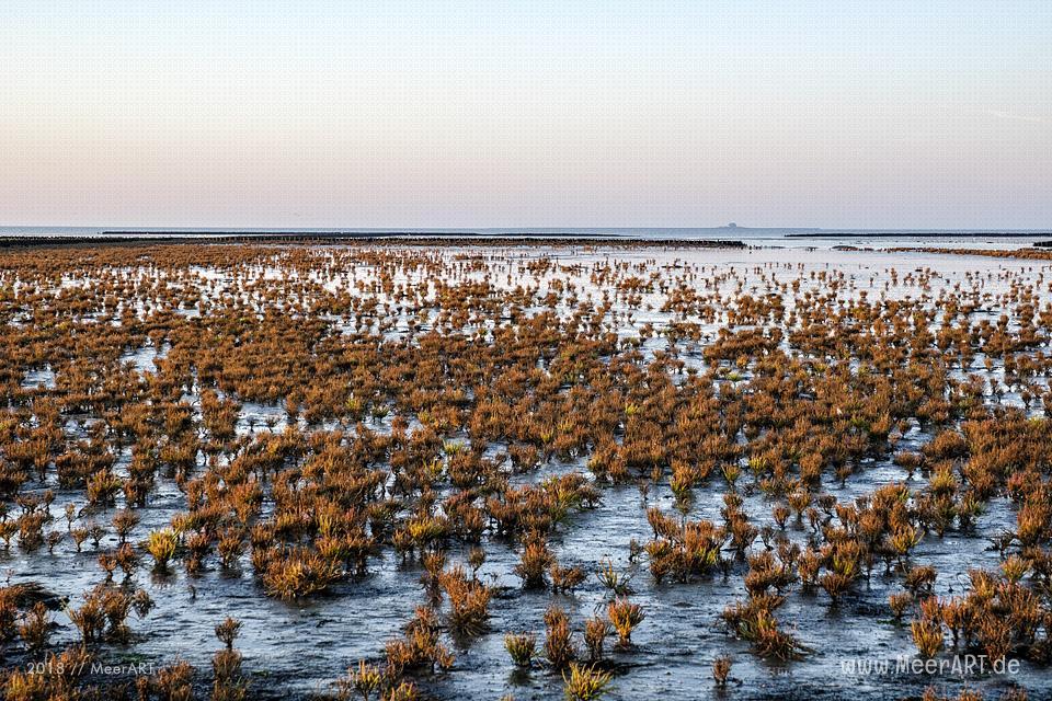 Ein Morgen am Hauke-Haien-Koog bei Ockholm in Nordfriesland // Foto: MeerART / Ralph Kerpa