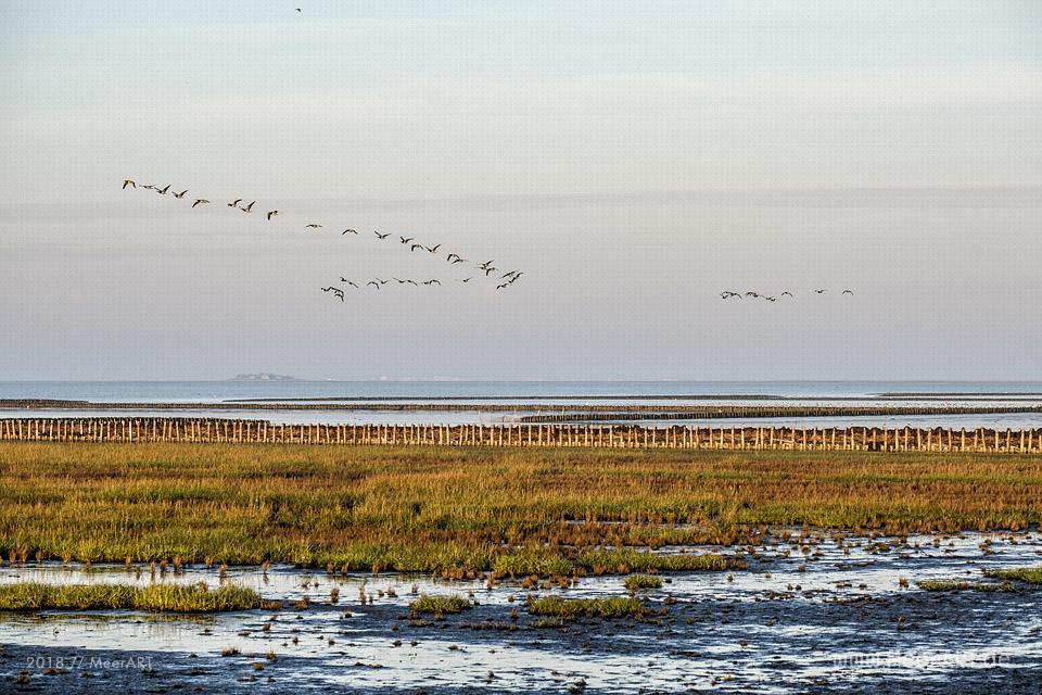 Ein Morgen am Hauke-Haien-Koog bei Ockholm in Nordfriesland // Foto: MeerART / Ralph Kerpa