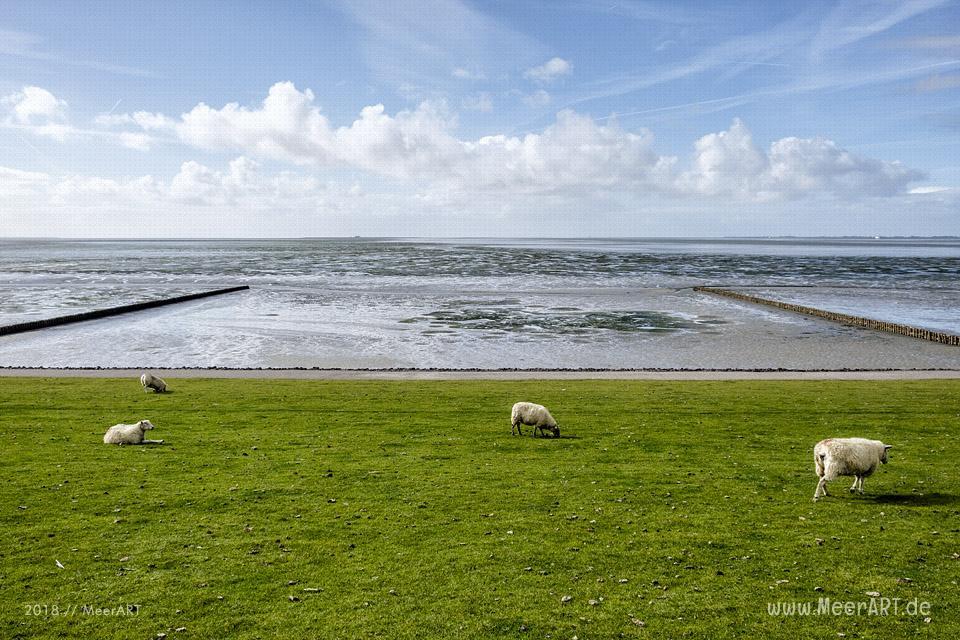 Impressionen von der Halbinsel Nordstrand // Foto: MeerART