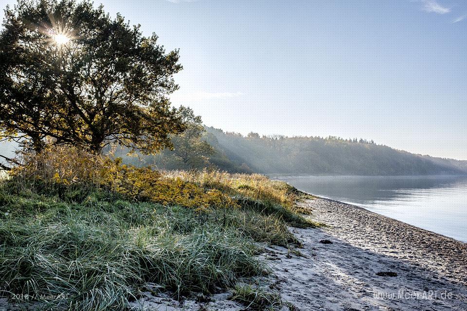 Die Eckernförder Bucht zwischen Traum und Wirklichkeit // Foto: MeerART / Ralph Kerpa