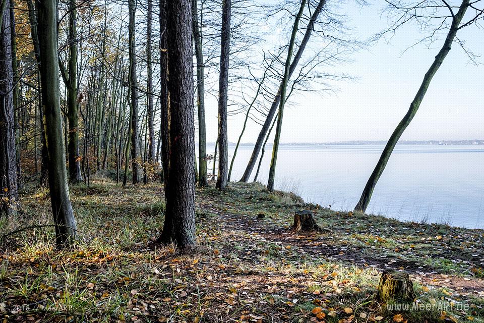 Die Eckernförder Bucht zwischen Traum und Wirklichkeit // Foto: MeerART / Ralph Kerpa